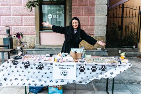 Sejem lokalnih organizacij za povezovanje skupnosti (12)